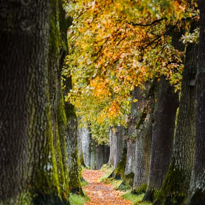 MURNAU - Kottmüllerallee, Germany