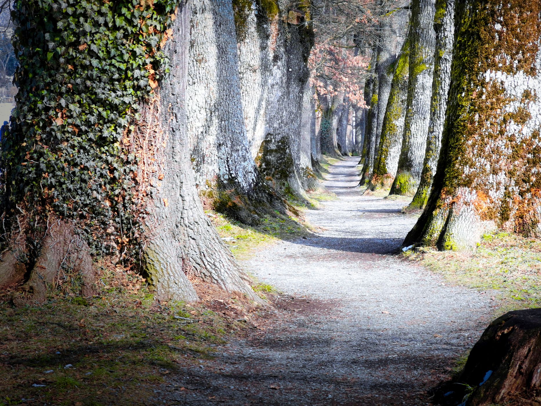 MURNAU - Kottmüllerallee, Germany