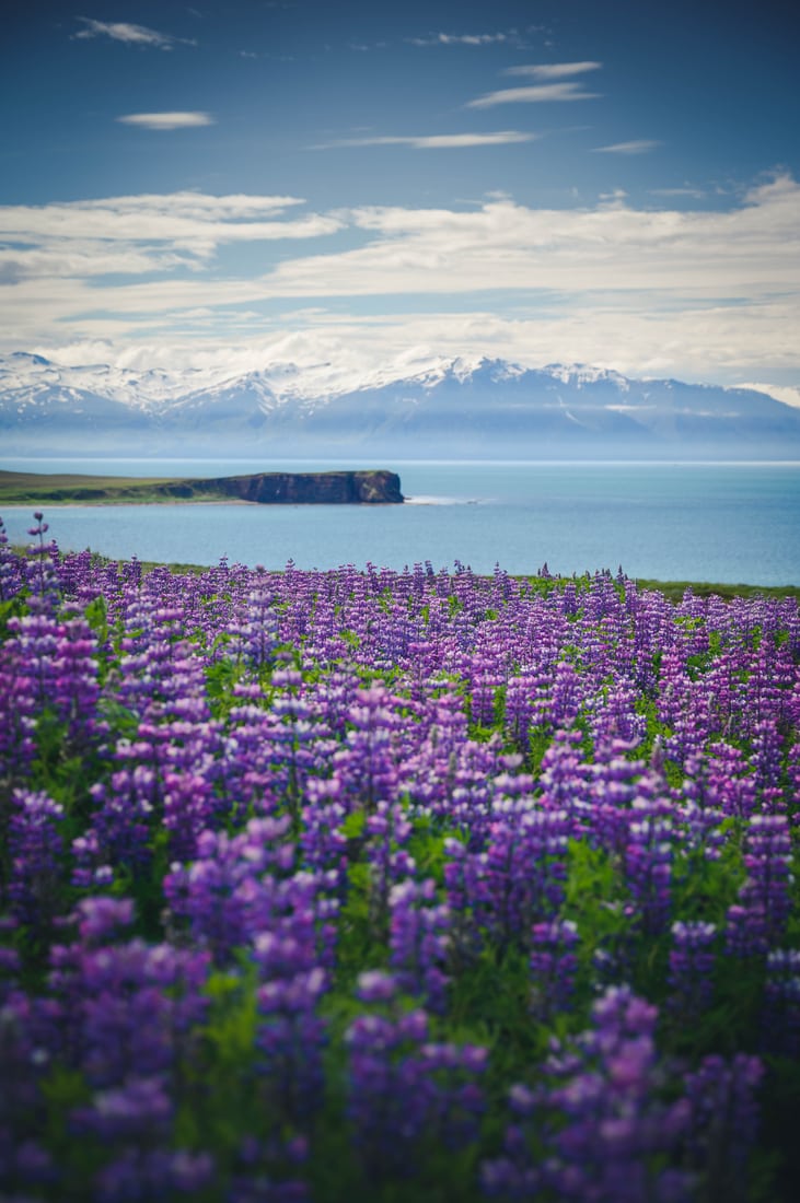 North Coast View, Iceland