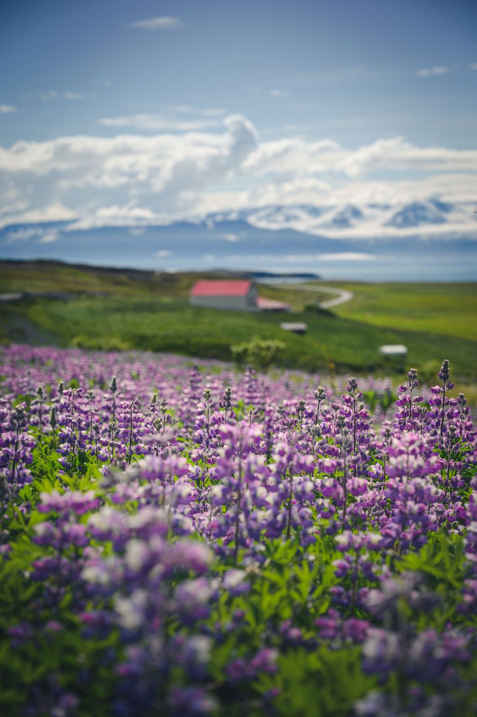 North Coast View, Iceland