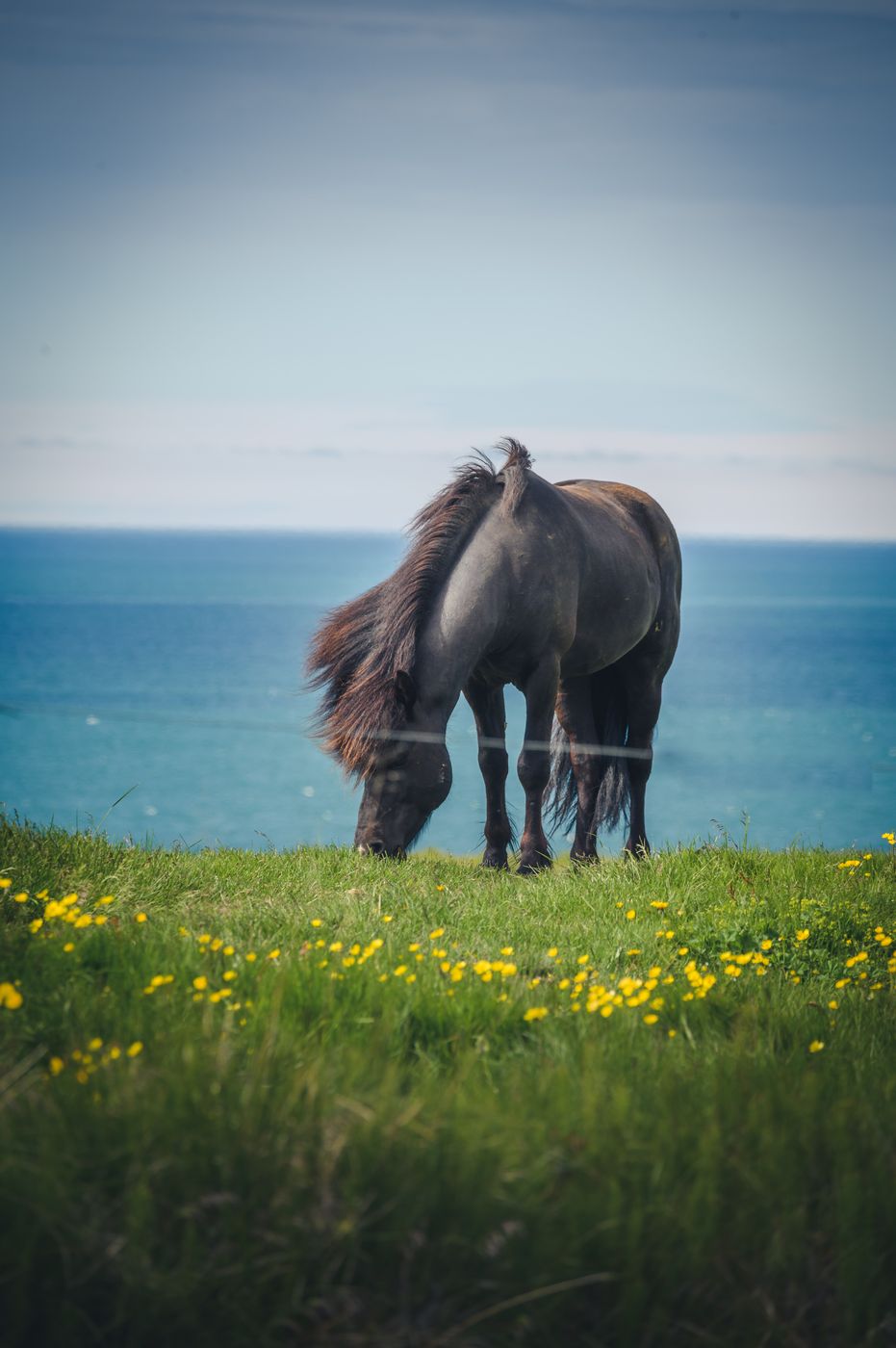 North Coast View, Iceland