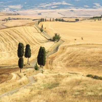 Road from 'The Gladiator' movie, Italy