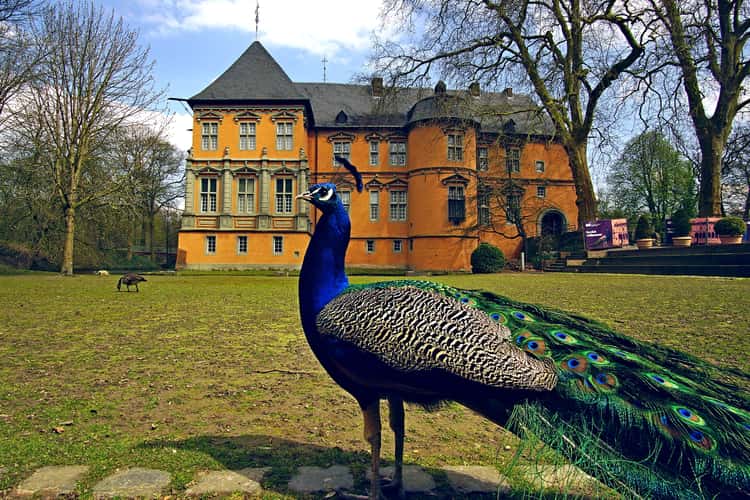 Schloss Rheydt