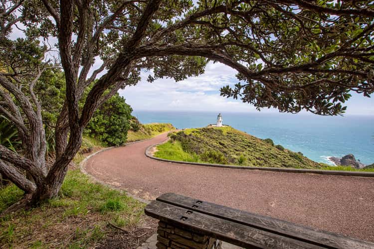 Seat and path to Cape Reinga, Nortland