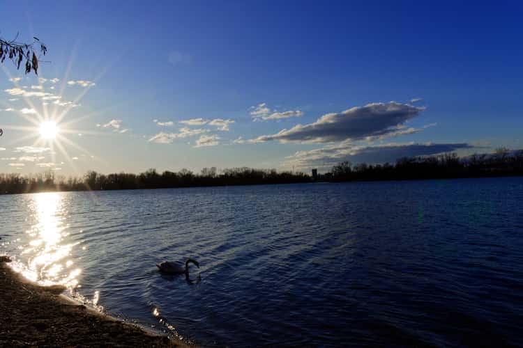 Silbersee Bobenheim-Roxheim