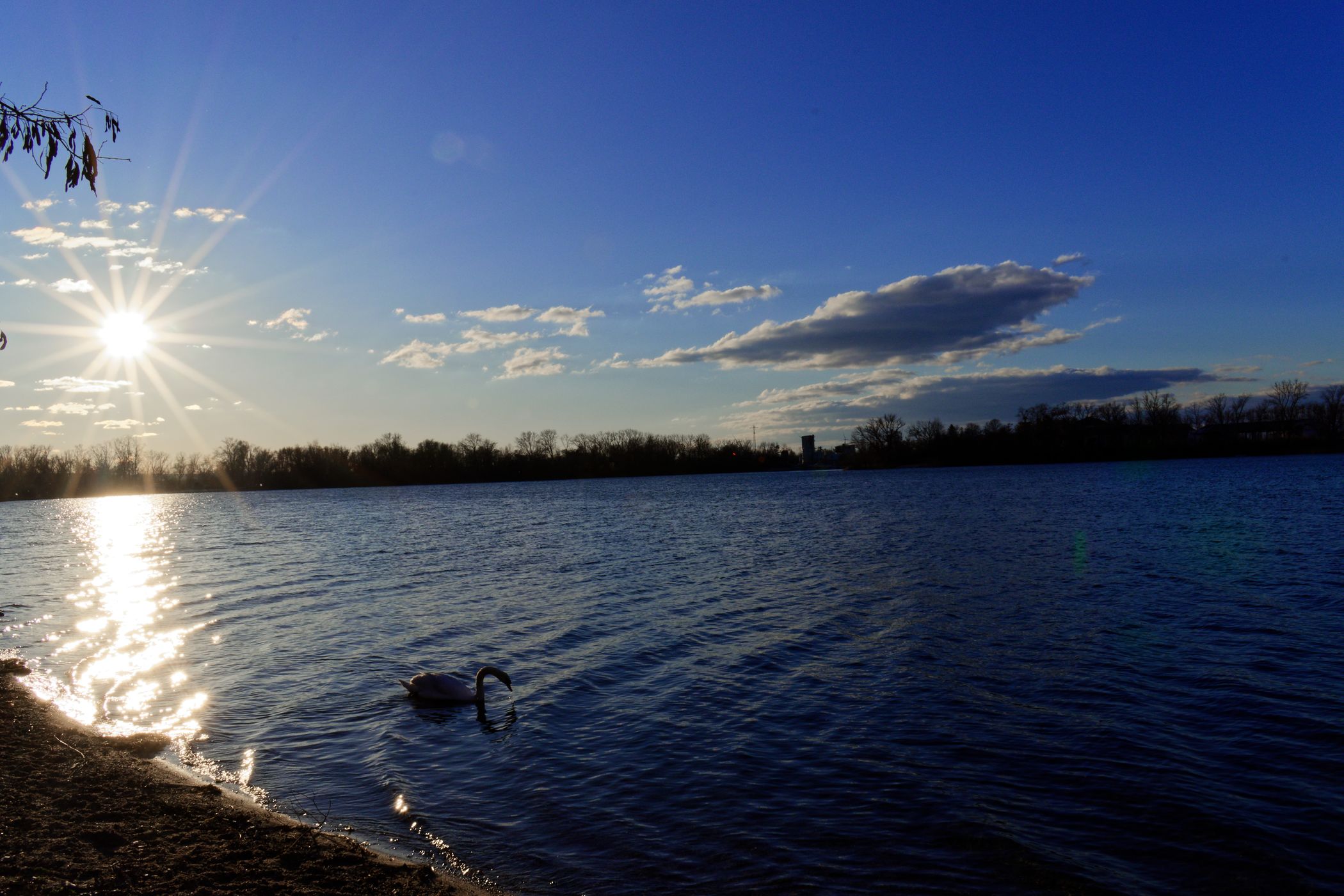 Silbersee Bobenheim-Roxheim, Germany