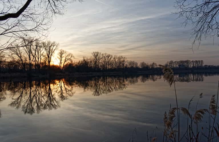 Silbersee Bobenheim-Roxheim