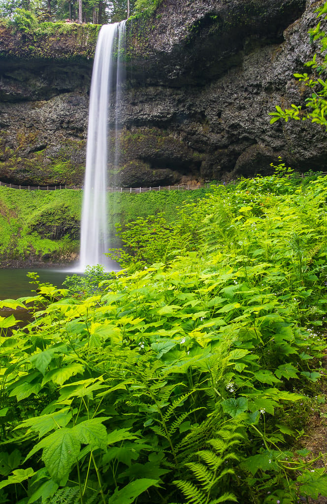South Falls, USA