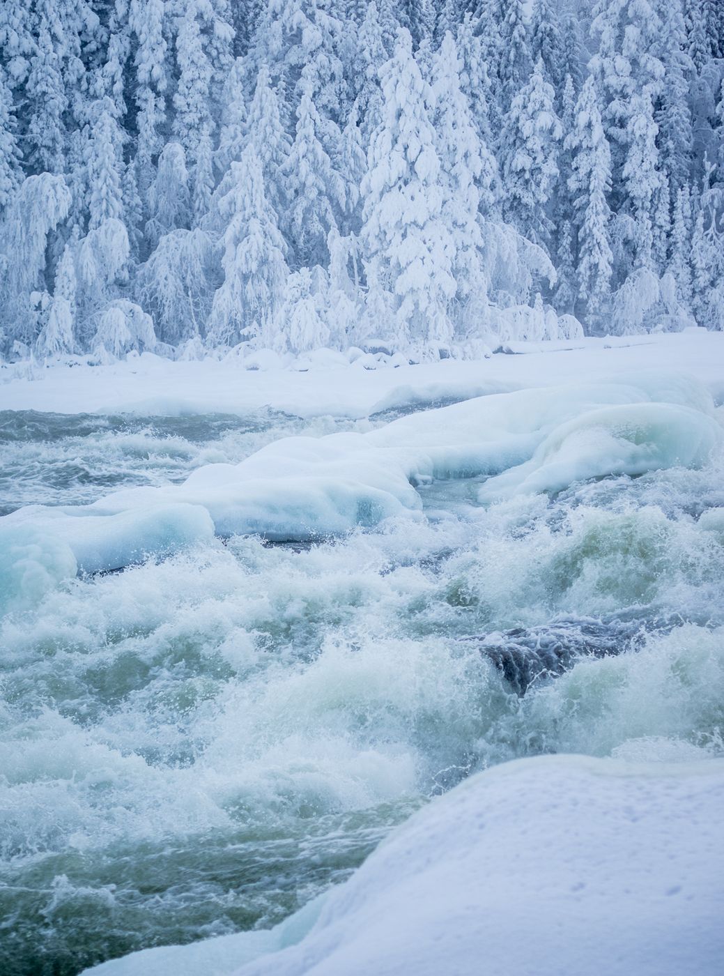 Storforsen pite river, Norrbotten, Sweden