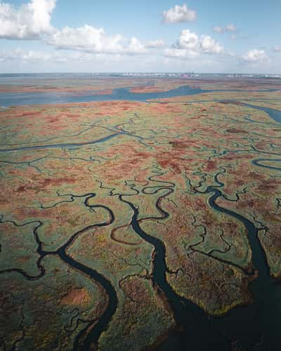 Drowned land of Saeftinge