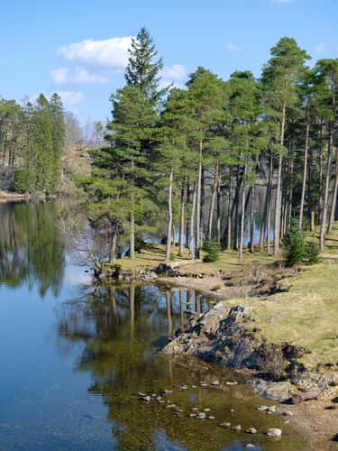 Tarn Hows