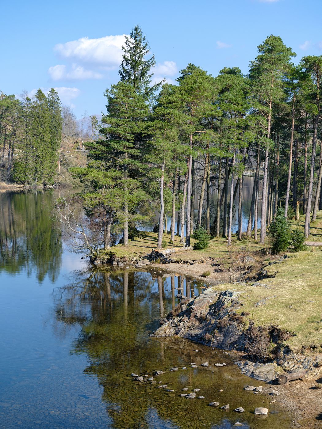 Tarn Hows, United Kingdom