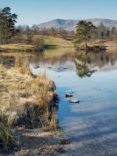 Tarn Hows