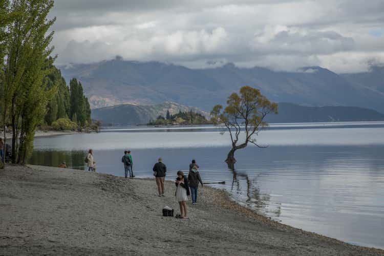 Lake Wanaka - The lonely Tree