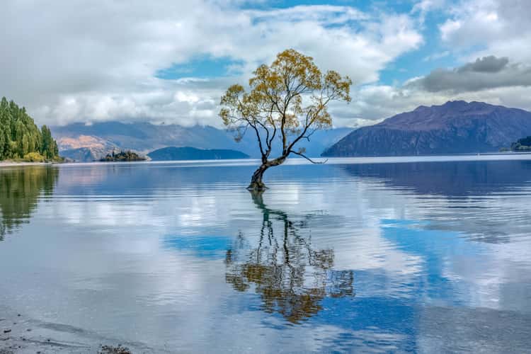 Lake Wanaka - The lonely Tree