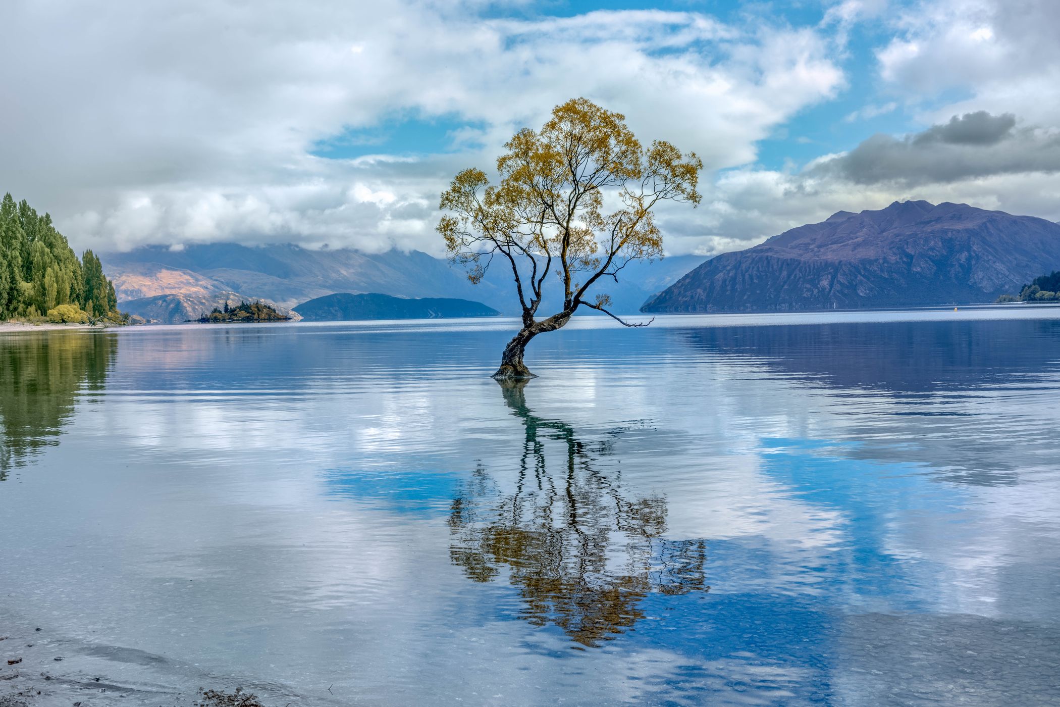 Lake Wanaka - The lonely Tree, New Zealand