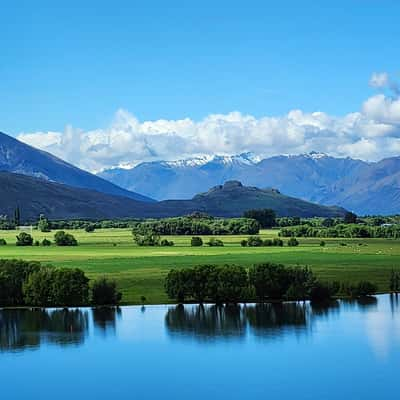 The Trees, Wanaka-Aspiring Road, Lake Wanaka, New Zealand