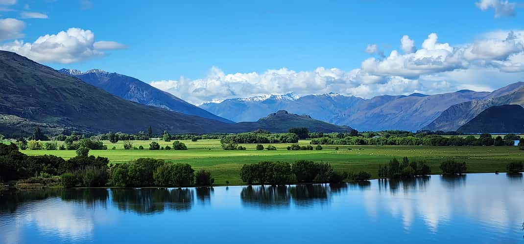 The Trees, Wanaka-Aspiring Road, Lake Wanaka
