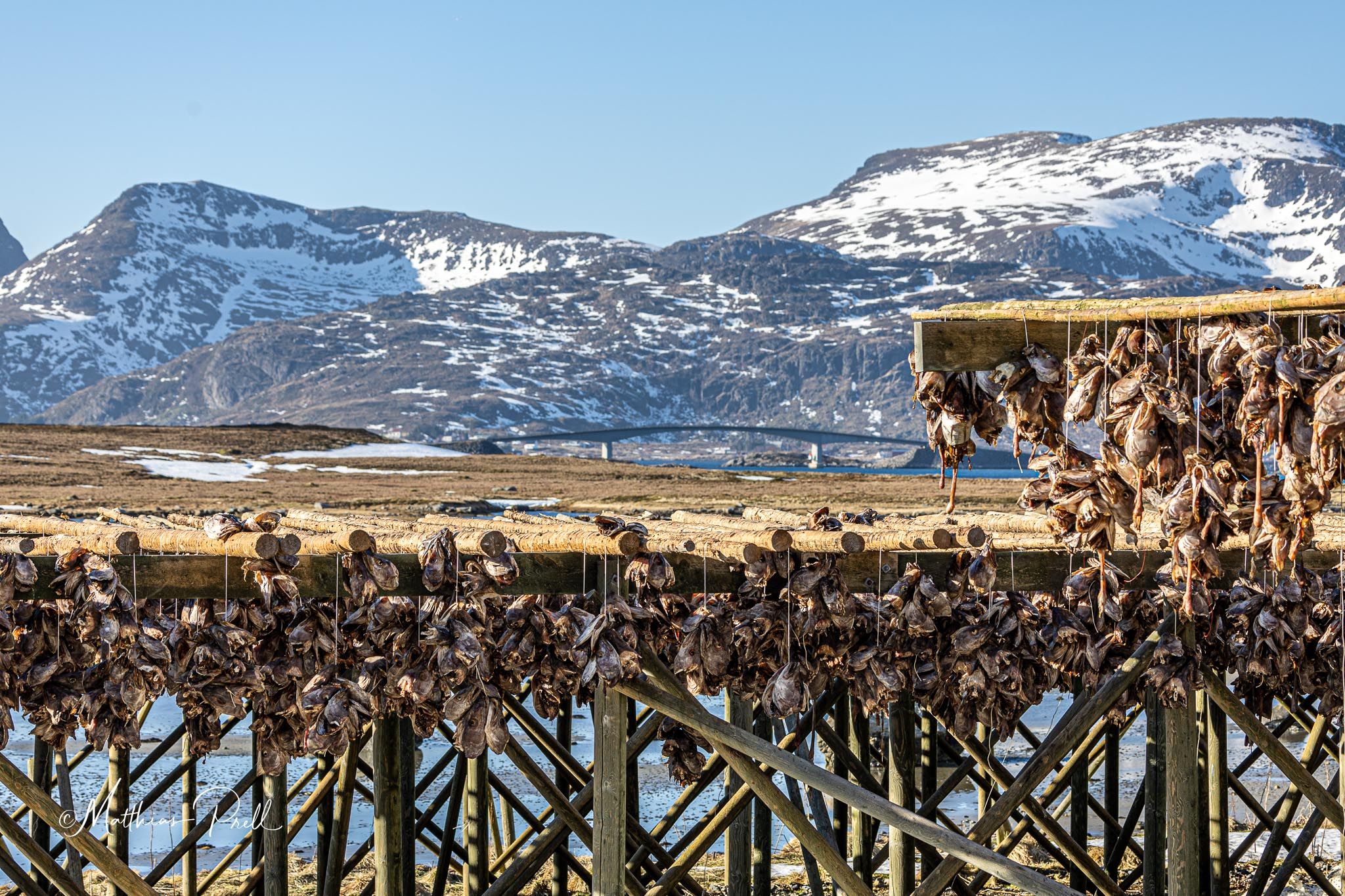 Trockengstelle in der Nähe von Ramberg, Norway