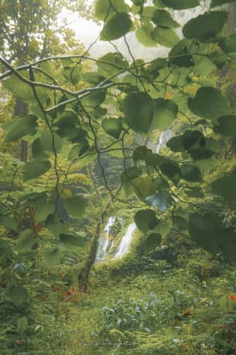 Wanagiri Pucak Manik Waterfall