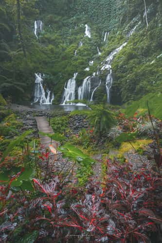 Wanagiri Pucak Manik Waterfall