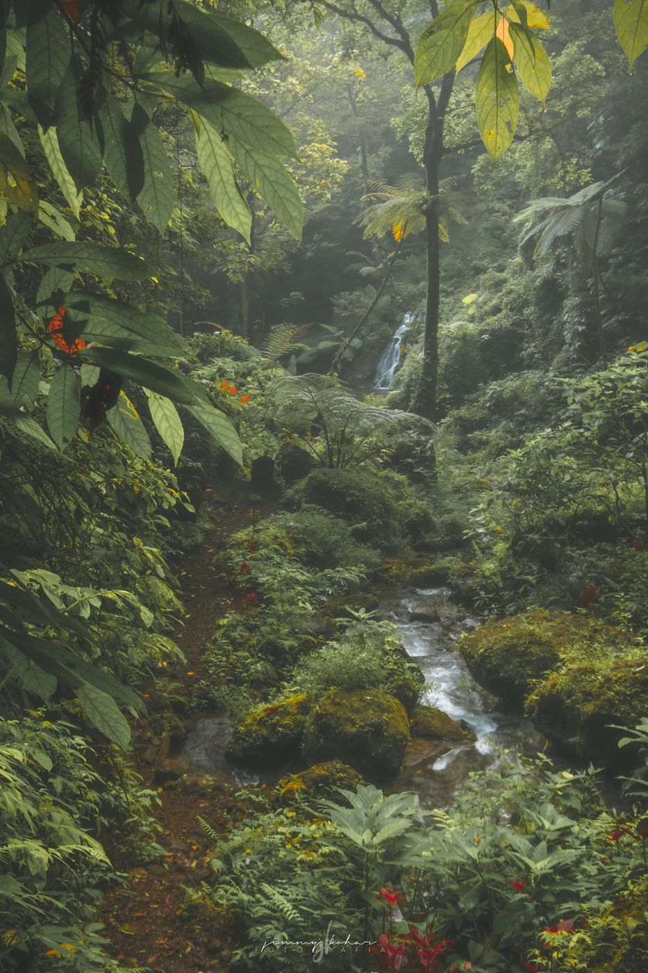Wanagiri Pucak Manik Waterfall, Indonesia