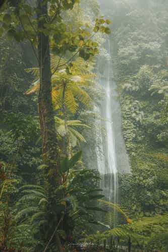 Wanagiri Pucak Manik Waterfall