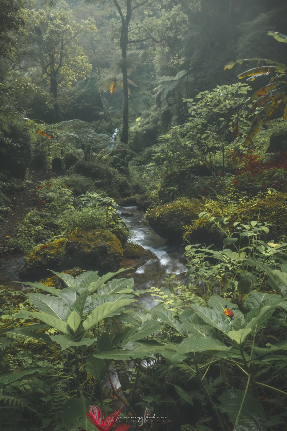 Wanagiri Pucak Manik Waterfall, Indonesia