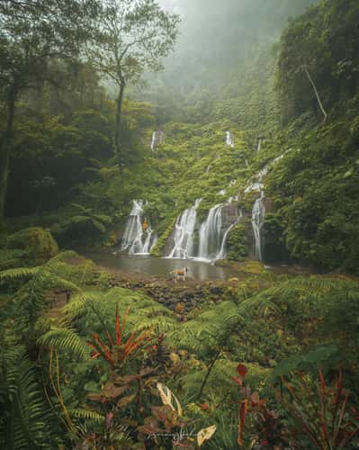 Wanagiri Pucak Manik Waterfall