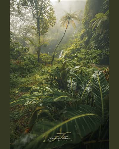 Wanagiri Pucak Manik Waterfall