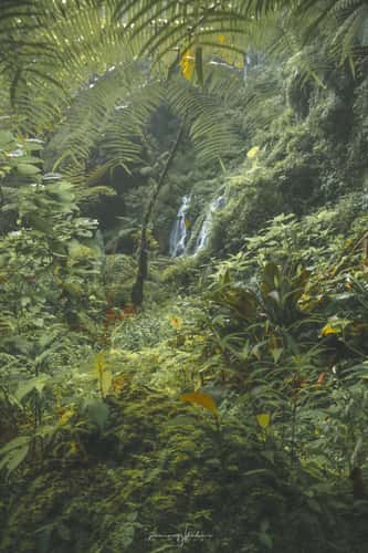 Wanagiri Pucak Manik Waterfall