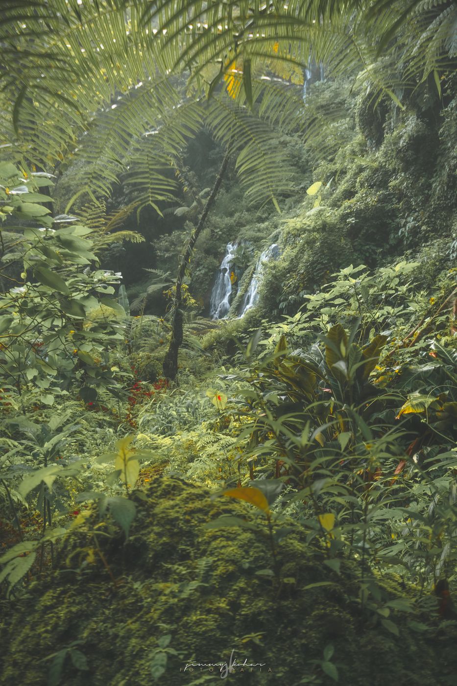 Wanagiri Pucak Manik Waterfall, Indonesia