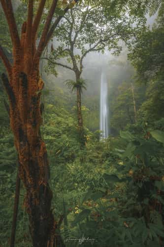 Wanagiri Pucak Manik Waterfall