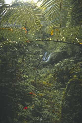 Wanagiri Pucak Manik Waterfall