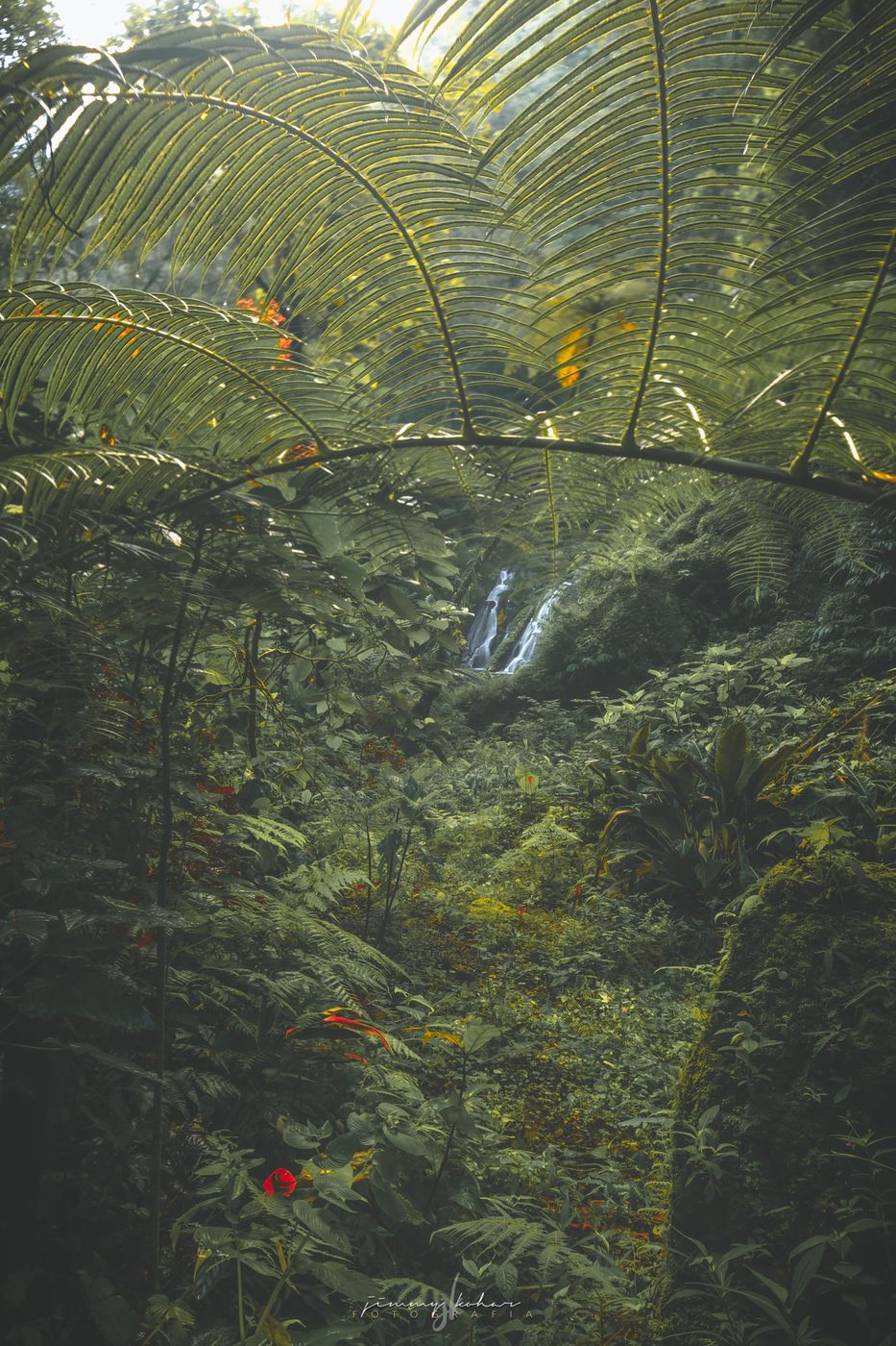 Wanagiri Pucak Manik Waterfall, Indonesia