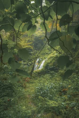 Wanagiri Pucak Manik Waterfall