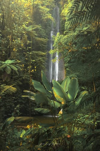 Wanagiri Pucak Manik Waterfall