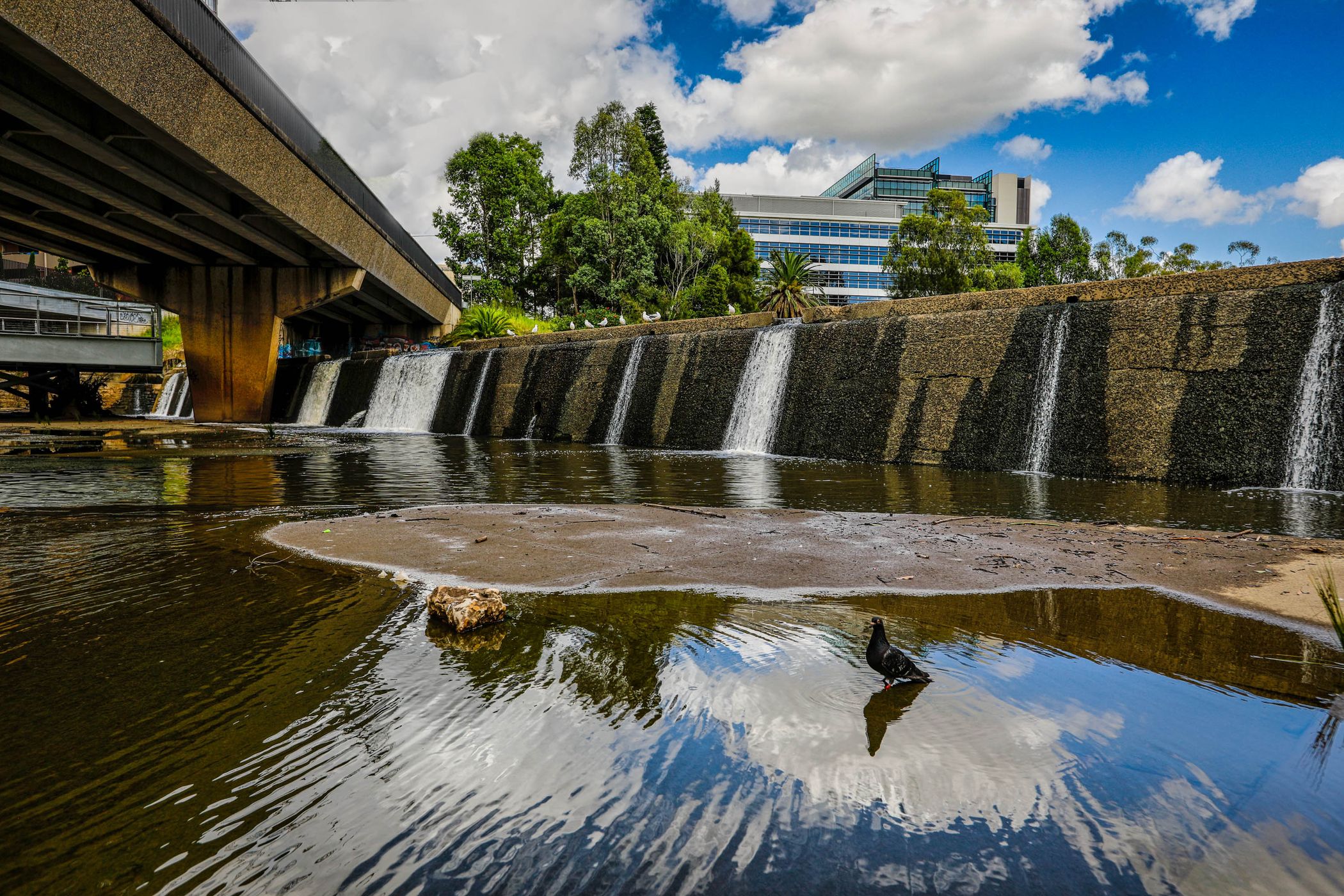 Weir Parramatta, New South Wales, Australia