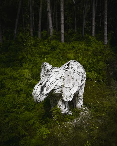 Wooden elephant at Verbeke Foundation