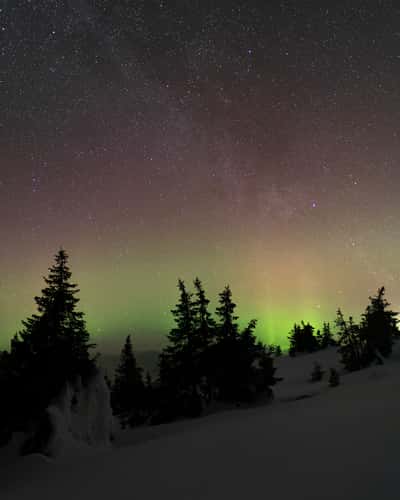 Akkanålke, Arvidsjaur