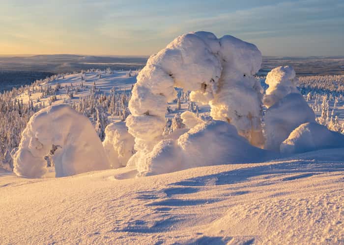 Akkanålke, Arvidsjaur