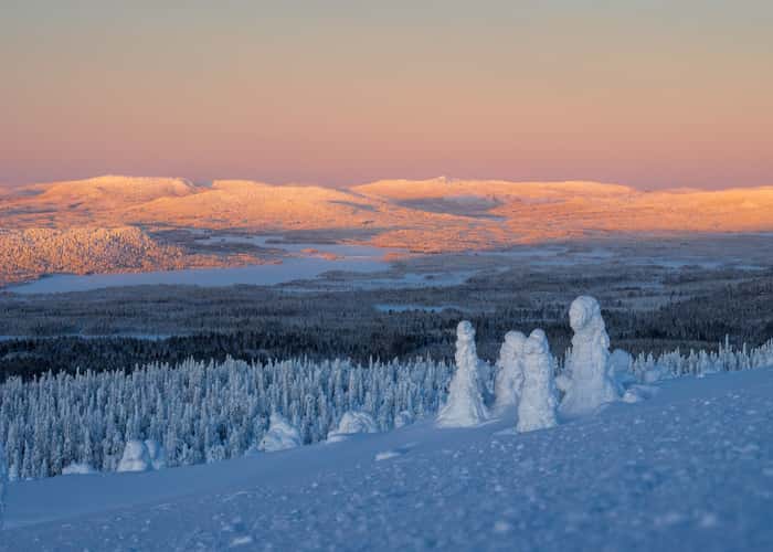Akkanålke, Arvidsjaur