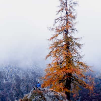 Alpe Larecchio, Italy