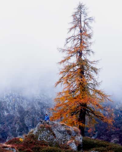 Alpe Larecchio