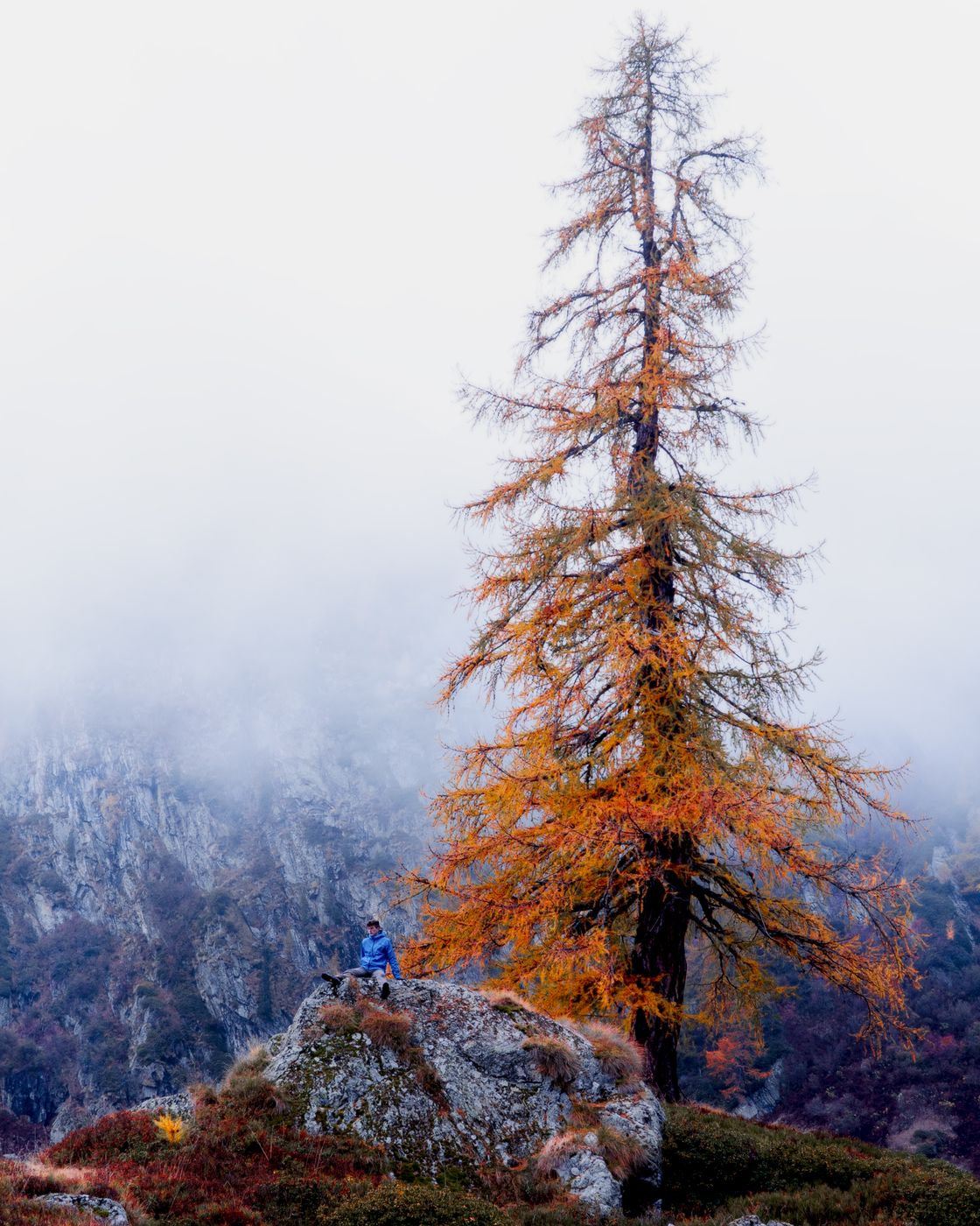 Alpe Larecchio, Italy