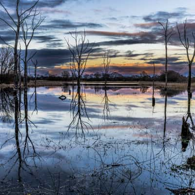 Arcot Lake, United Kingdom