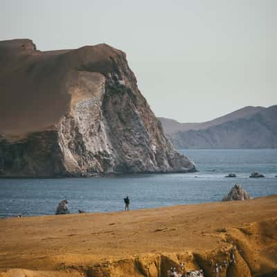 Area around Playa Mendieta, Paracas National Reserve, Peru