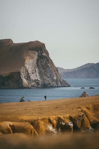Area around Playa Mendieta, Paracas National Reserve