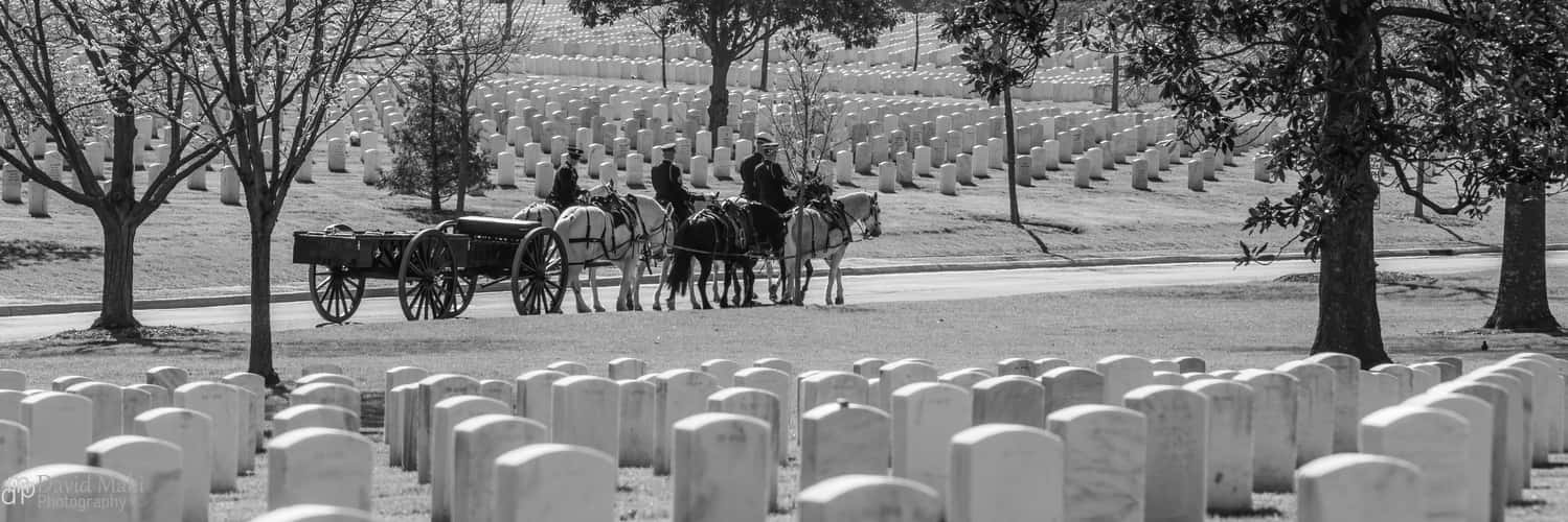Arlington Cemetery