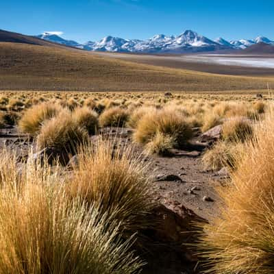 B-245 near El Tatio, Chile